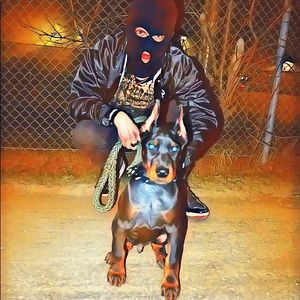 Meet your Posher, Martin